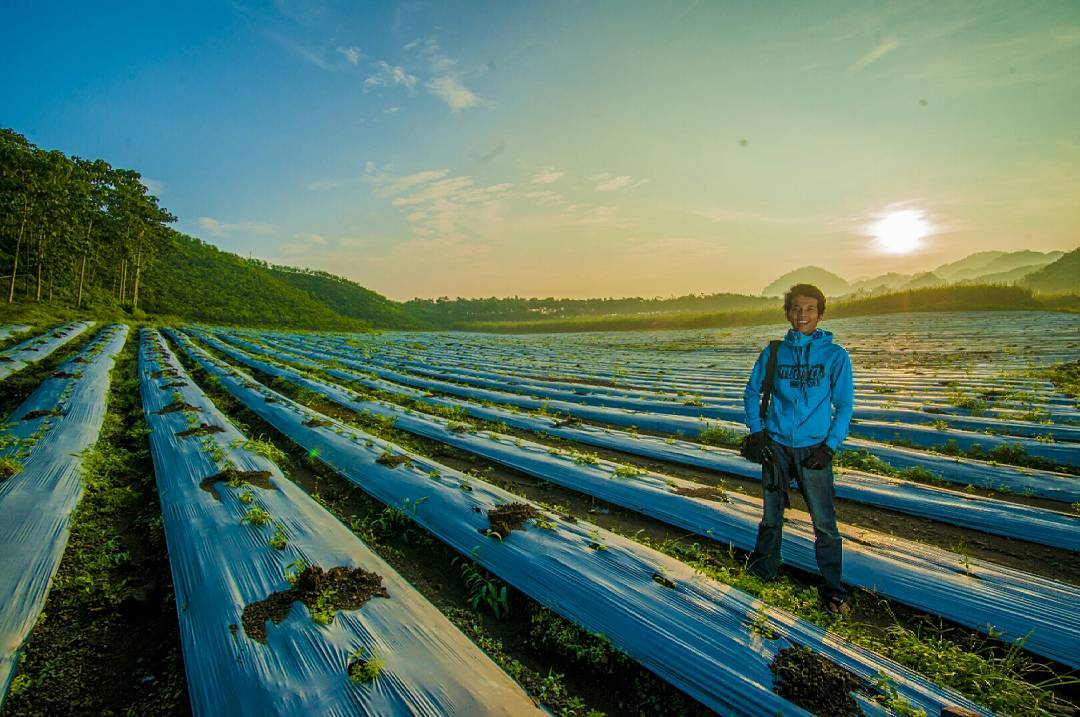 Bukit Teletubbies Baru di Blitar